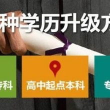 成都市金牌思維教育咨詢有限責(zé)任公司 專業(yè)教育咨詢，點亮成長之路
