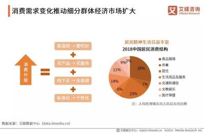 數(shù)據(jù)報(bào)告|2019中國(guó)互聯(lián)網(wǎng)群體經(jīng)濟(jì)用戶(hù)與消費(fèi)行為研究