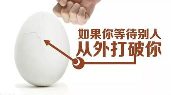 一顆不平凡的雞蛋 如何以微不足道之姿，撬動(dòng)數(shù)億人的生活杠桿？